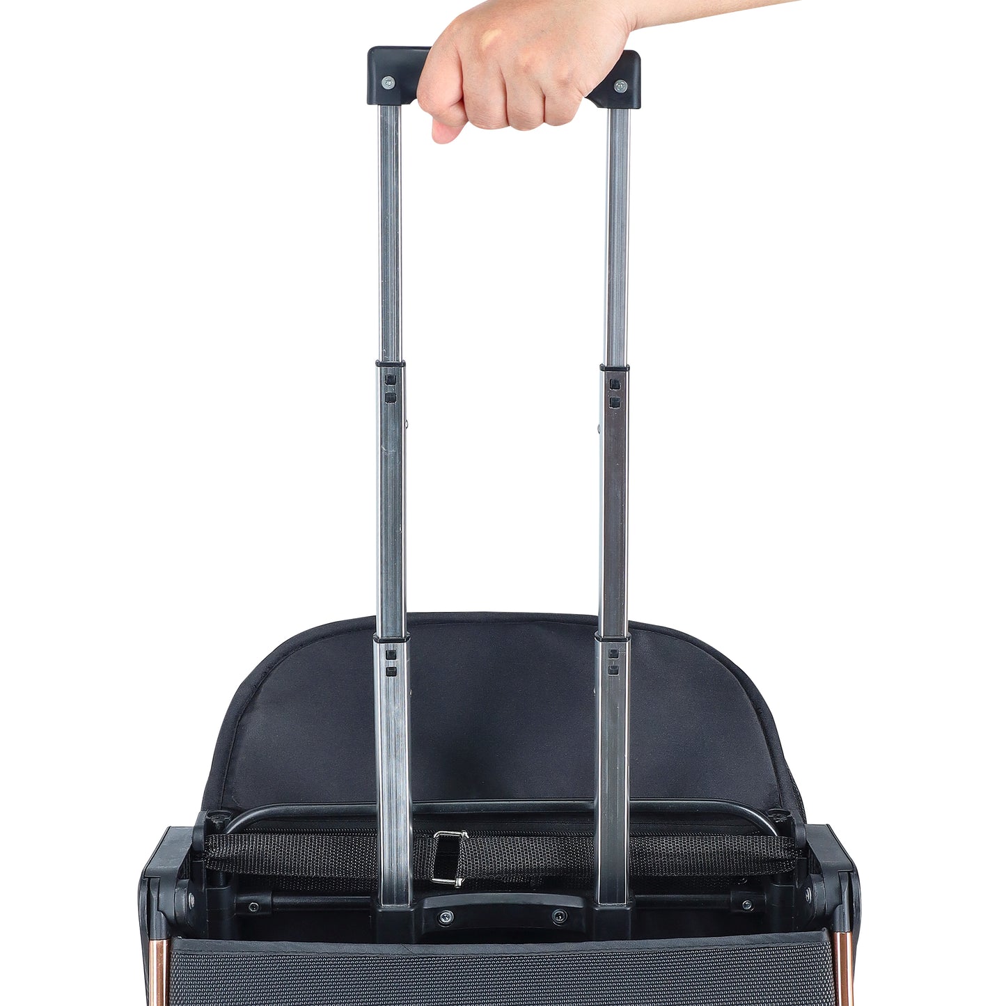 Bloom Travel Stroller (Infant to Toddler)