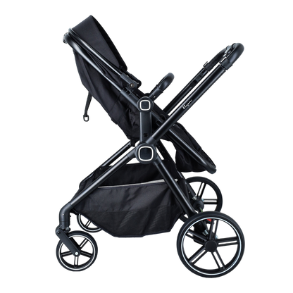 Bloom Magic Stroller (Infant to Toddler)