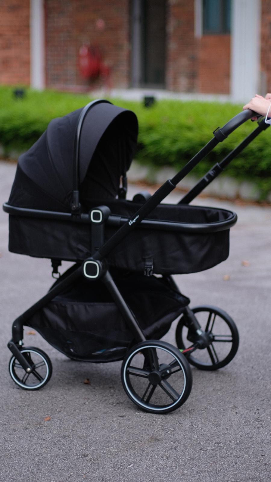 Bloom Magic Stroller (Infant to Toddler)